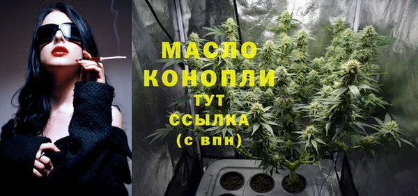 твердый Дмитровск